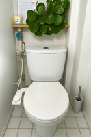 Δεν θα μπορούσα πλέον να ζήσω χωρίς το bidet.
